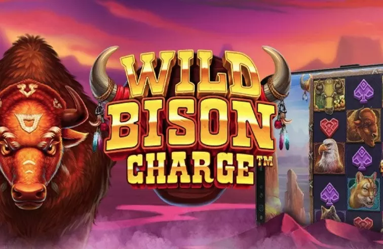 wild bison charge